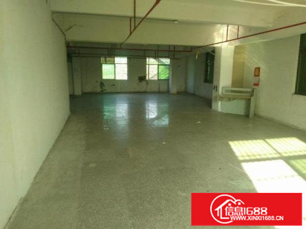 坑梓龙田独院，厂房14层8600平方招租