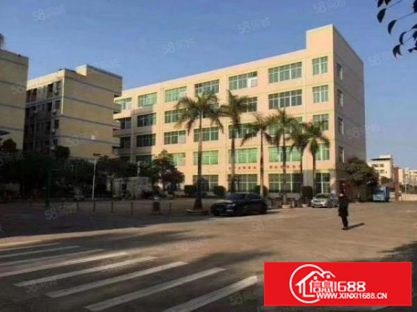 平湖白泥坑海吉星边上1楼1300平方厂房出租冻库300平方