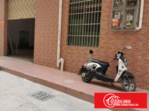 原房东新厂房随时看房