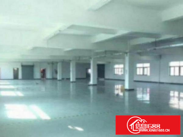 高埗标准一楼1600平方出租