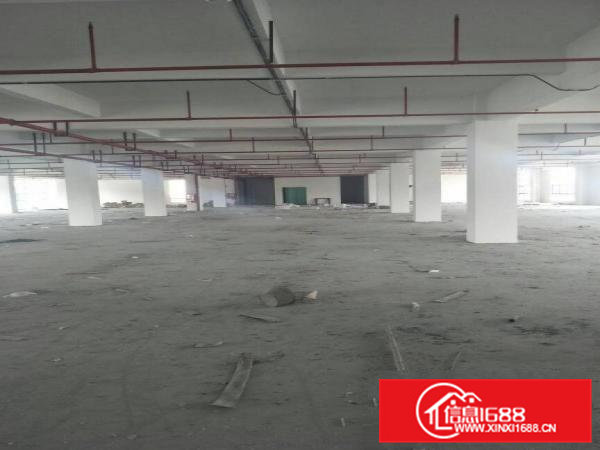 全新厂房一楼楼上大小可分