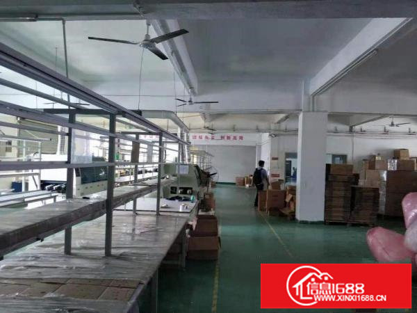 龙岗坪地独院厂房一层1100平，空地超大。