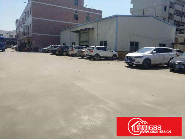 樟木头铁皮钢构房实际面积500方高度8米一手房东无公摊