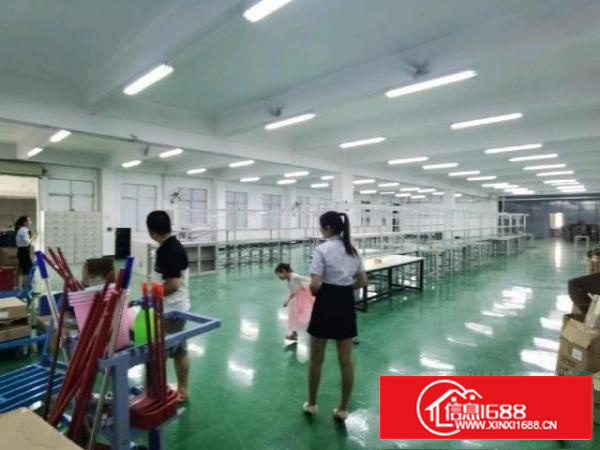 镇中心标准厂房三楼洁净车间带地坪漆