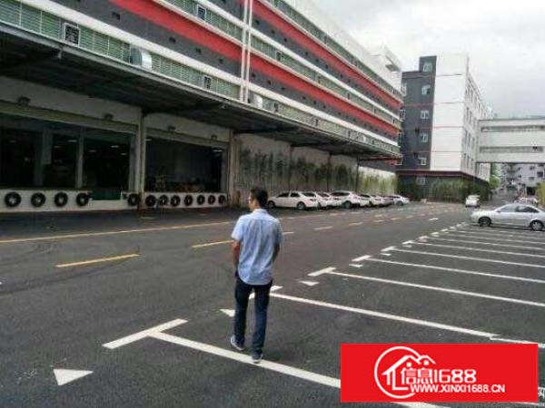 平湖原房东红本标准5.5米高一楼3500平方招租