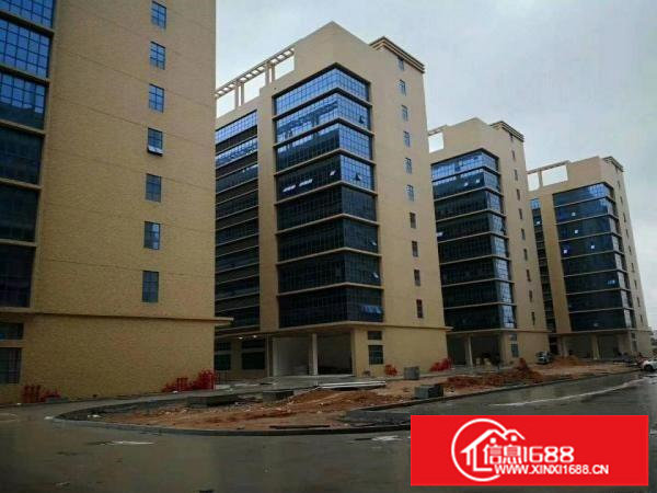 平湖山厦平大路边10万平带红本高新科技园厂房分租