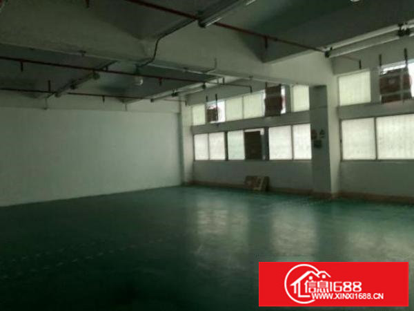 龙华350平仓库特价出租