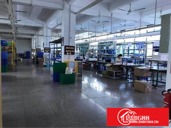 坪山碧岭楼上750平带装修出租，带电梯