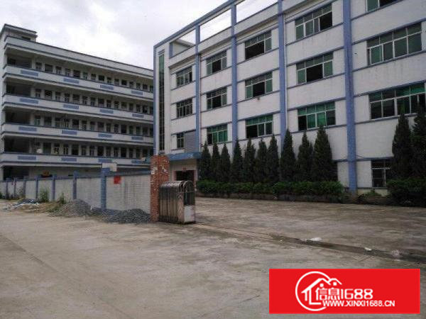 高埗标准一楼厂房750或1200平方出租空地大，水电齐全