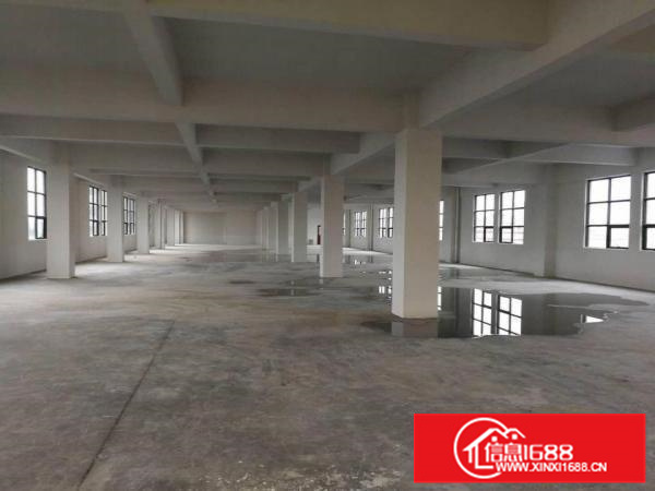 里水镇中心区全新标准厂房出租可以分租600平方起租