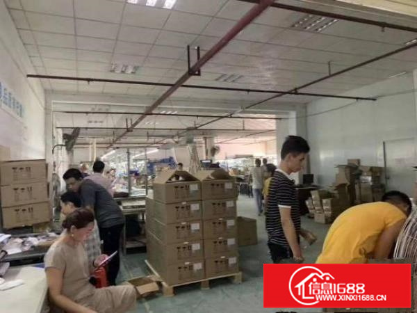 邻深片区原房东独院标准可办环评厂房4800招租