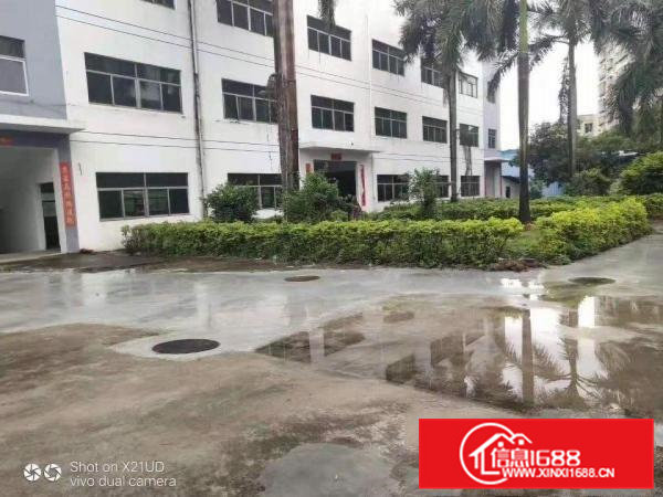 清溪银湖新出1200平一楼标准厂房，原房东现成装修配置