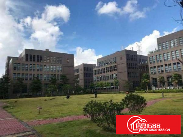 今日好房推荐，采光一级棒