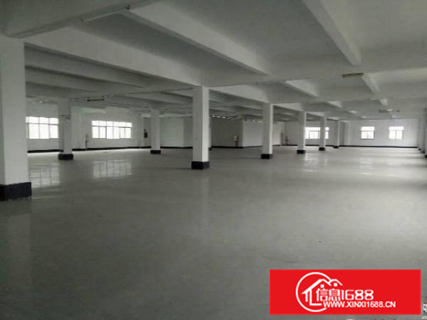 陈江新出3000平零公摊原房东厂房