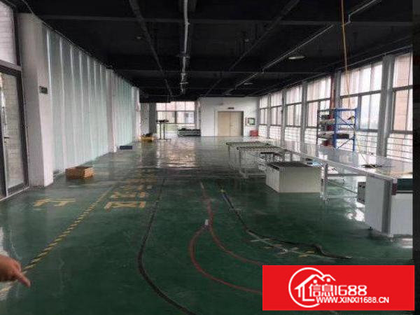 龙岗业主直租独院厂房6000平方可分租、带牛角