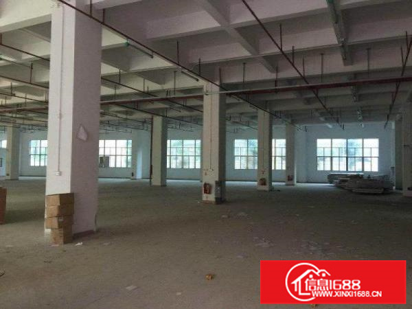 惠阳镇隆原房东12000平米红本独院厂房招租