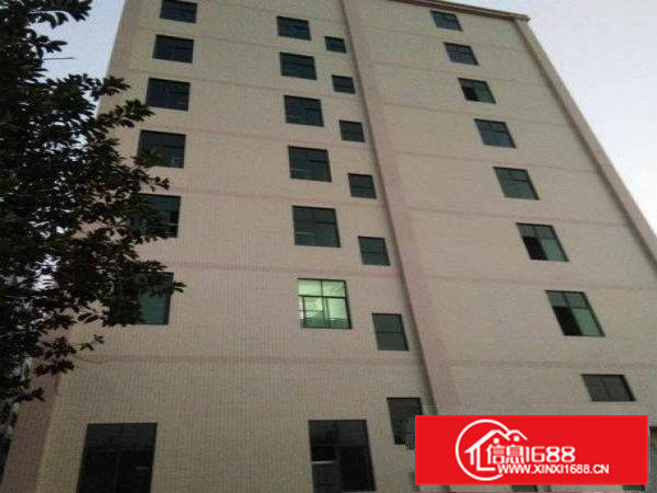 急凤岗厂房出租全新独院21000平方厂房500起租