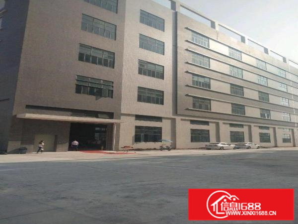 横沥镇真正高大尚的厂房，正式招租了，看得上，房东就租！