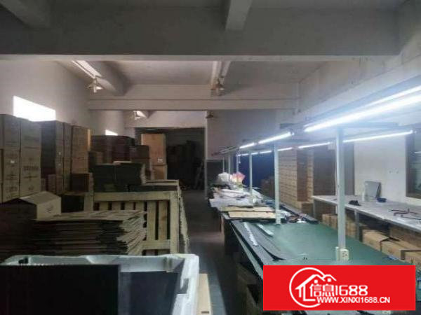 出租布吉吉厦社区早禾坑工业区16号厂房