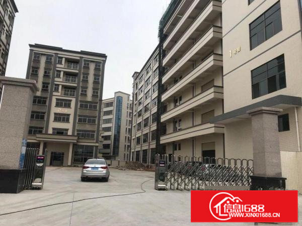 东莞企石镇杨屋大工业园楼上标准一层1100带精装修厂房出租