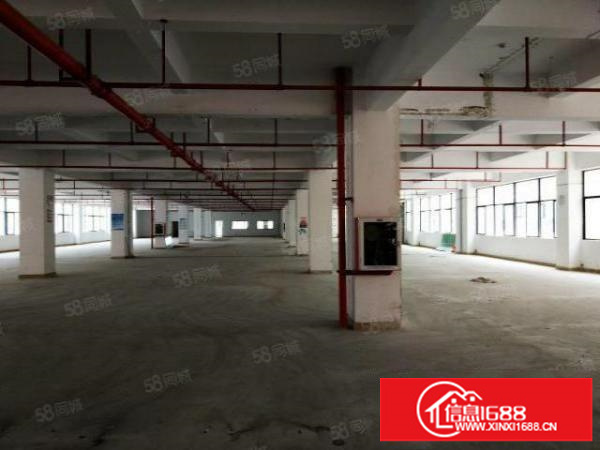 石岩塘头白芒关高新产业园出租21000平米可分租