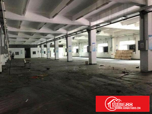 原房东！塘厦大坪2400平方米高6.5米标准一楼厂房