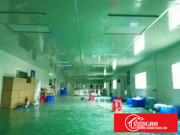 龙岗同乐新空出800平无尘车间原房东