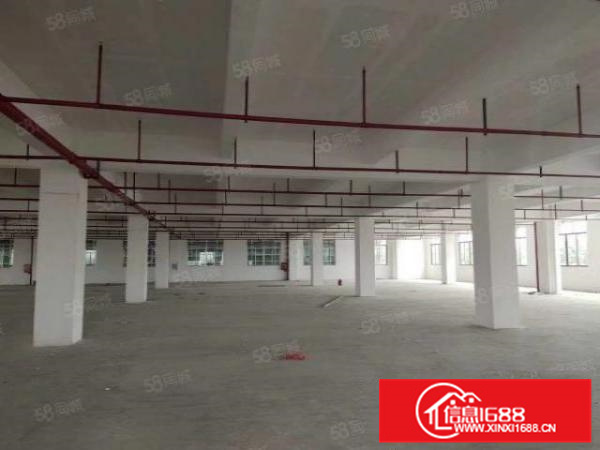 九江镇全新带国土证，带红本，丙二类消防喷淋，可分租易招工厂房