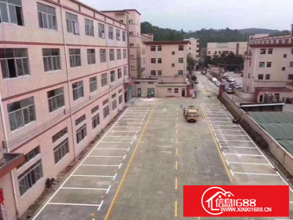 同乐原房东红本独院厂房9000平出租