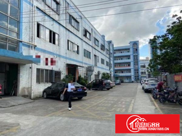 观澜新田环观南路边上整层厂房1450平对外出租