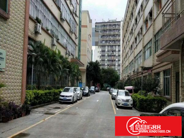 科技园厂房可补贴房租1楼至3楼单层1460平可分租