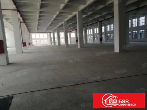 一千方起分租,乐从镇原房东独院独栋标准厂房出租(可办环评)