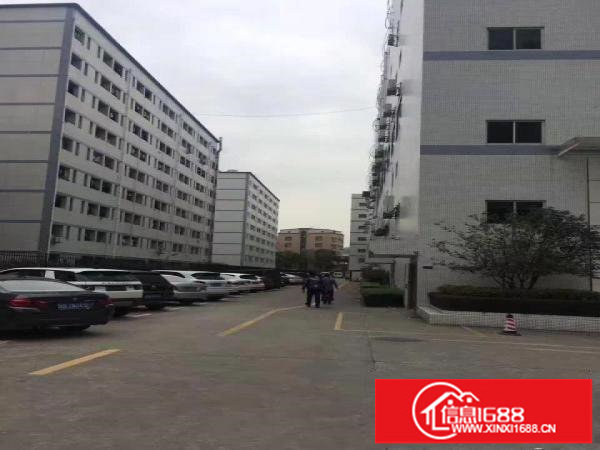 坂田上雪工业园一楼厂房800平米出租