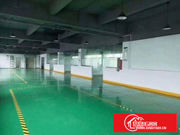 长安厦边新出原房东厂房480平豪华装修全新地平漆