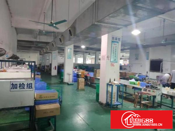 清溪荔横二楼厂房便宜出租2400平米，有办公室水电齐全