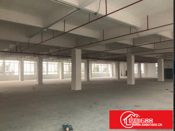 原房东消防喷淋齐全配备两部货梯装风谷表