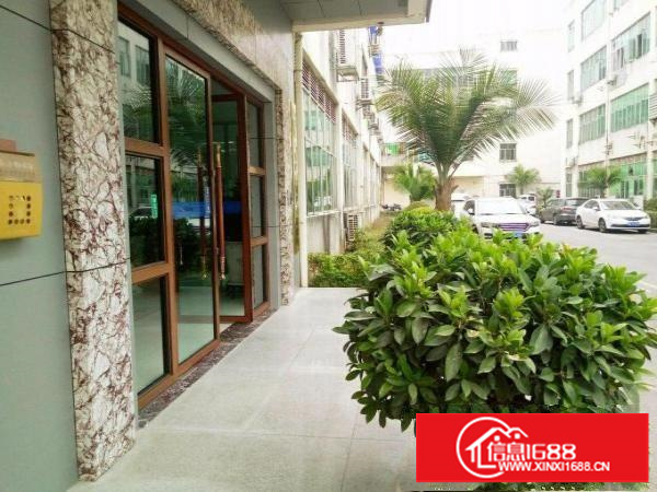 业主直租龙岗区坂田岗头钢构、标准厂房，免中介费