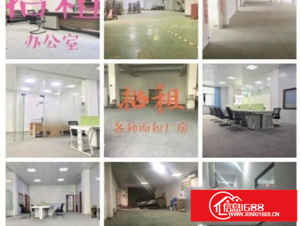 黄田低价出租各种面积的仓库厂房办公室