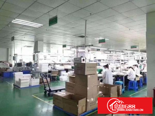 有吊顶地坪漆办公室，水电齐塘厦科苑城厂房出租3000平米