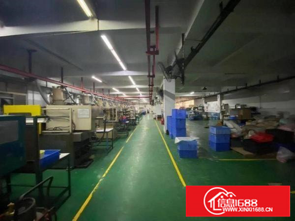 东莞市长安镇原房东独院厂房招租，出租信息