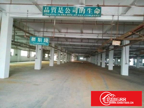 全新厂房，是老板们发财地，需要的看过韦