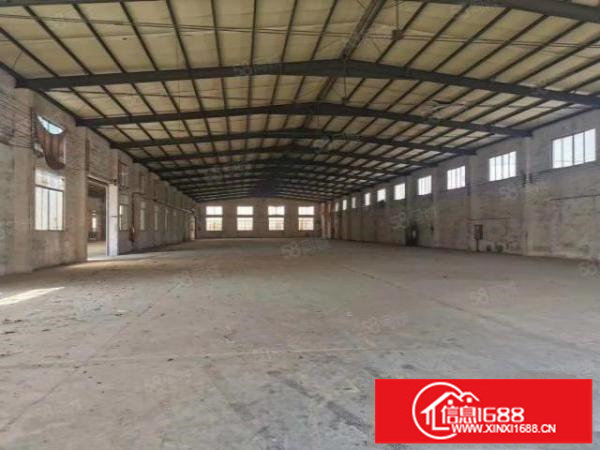 可分租新出实量一楼滴水10米原房东直租钢构独院10000平