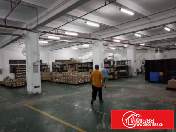 寮步凫山新空出一楼1100平厂房低价出租主线到车间