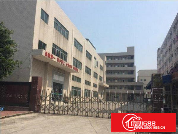 横岗四联村标准厂房一楼830平带牛角层高六米