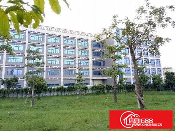 坪山田头市场厂房旁三楼厂房1300平米招租