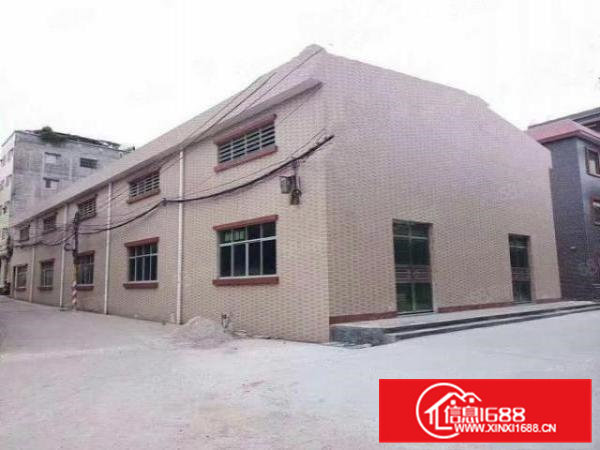 东部工业区常平新建单一层厂房高7米交通便利工业用地