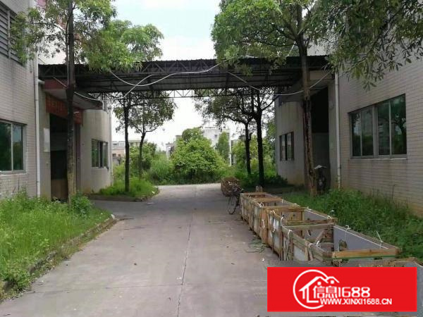 惠东白花独院钢构面积4万平，空地30000平(免费)证件齐全