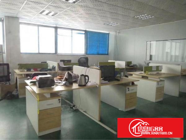 仲恺陈江独门独院4000平方厂房，空地大