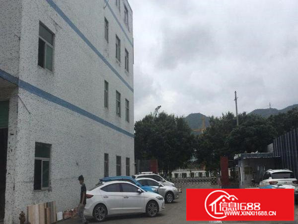 坪山深圳坪山大道（汤坑段）路厂房1550平米