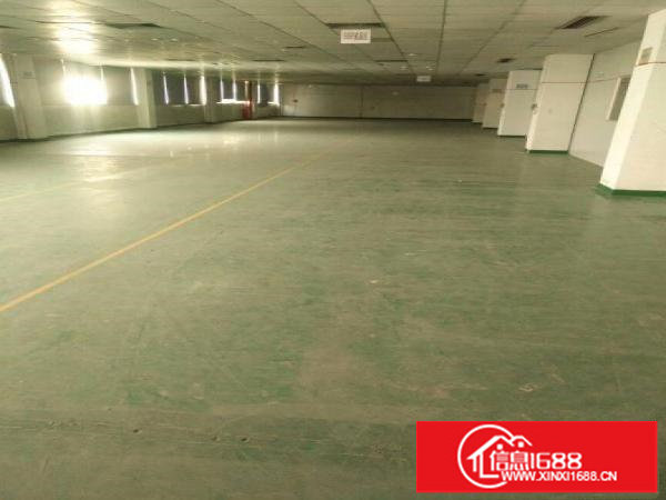 平湖全新厂房二楼1200平米出租可分租急急